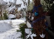 Dezember-Deko-vorm-Haus.jpg
